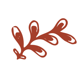 flourish-5-maroon flourish-5-maroon