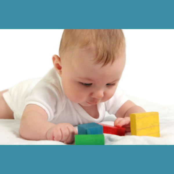 Brain Set Building Brain Architecture in Young Children (1 credit hour ...